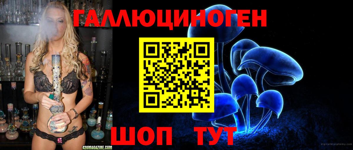 Курчатов  Псилоцибиновые грибы Cubensis  Псилоцибиновые грибы мицелий  Вход с VPN 